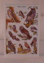 Owl Chart by Shepherds