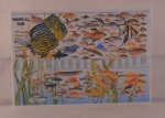 Tropical Fish Chart by Shepherds