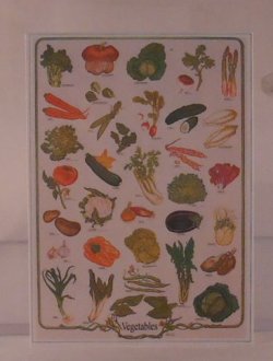 Vegetable Poster by Shepherds