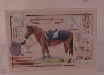 Equstrian Chart by Shepherds