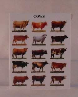 Cows Chart by Shepherds