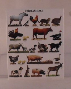 Farm Animals Chart by Shepherds