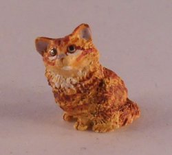 Cat 14-4 by David Ward