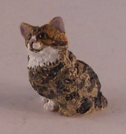 Cat 14-5 by David Ward