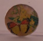 Tropical Plate #1 by Anabela
