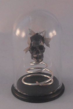 Glass Dome Natural History Skull #4 by Henry Bart