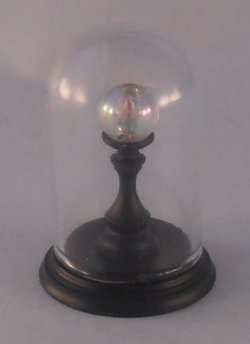 Glass Dome Natural History Orb #8 by Henry Bart