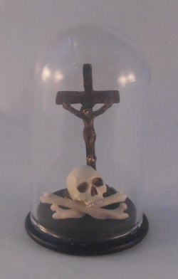 Glass Dome Natural History Skull #29 by Henry Bart