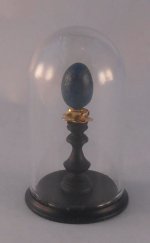Glass Dome Natural History Bird Egg #11 by Henry Bart