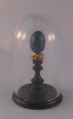 Glass Dome Natural History Bird Egg #11 by Henry Bart