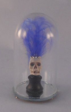 Glass Dome Natural History Skull #77 by Henry Bart