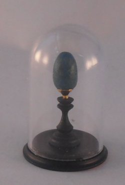Glass Dome Natural History Egg #7 by Henry Bart