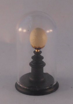 Glass Dome Natural History Egg #18 by Henry Bart