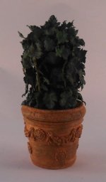 Ivy in Garden Pot by Janny Warnaar