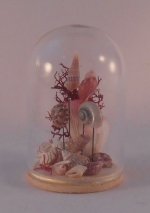 Seashell Under Glass Dome #1 by Dominique Autin