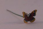 Butterfly #9 by The Flower Lady