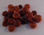 Pumpkins,Pumpkins and More Pumpkins set of 6 #E
