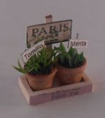 Herb Plants w/Paris Sign by Paloma Angel