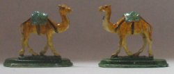 Pair of Camels by David ward