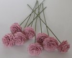 Carnations in Florist Paper Set of 6 by Chrysalis