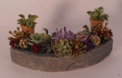 Succulent Planter #2 by Cea's