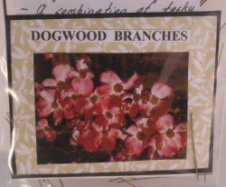 Flower Kit Dogwood by Artistic Florals