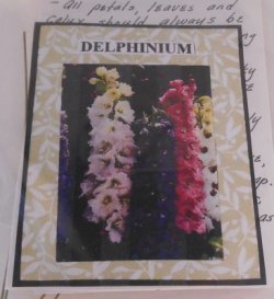 Flower Kit Delphnium by Artistic Florals