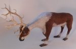 Reindeer #1 by Nantasy Fantasy