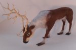 Reindeer #3 by Nantasy Fantasy