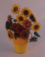 Sunflowers by Paula Gilhooley