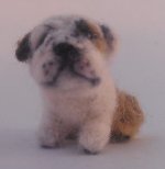 English Bulldog by Anna Ryasnova