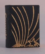 Comets by Mosaic Press