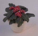 Plant Red by Anna Wybranowska