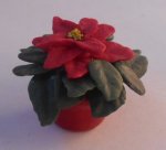 Poinsettia in Red Pot by Anna Wybranowska
