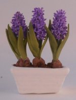 Hyacinth #1 by Anna Wybranowska
