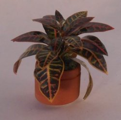 Garden Pot by Artistic Florals