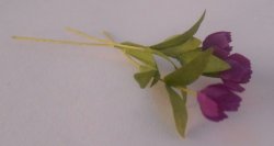 Tulip Purple by Marie Claude