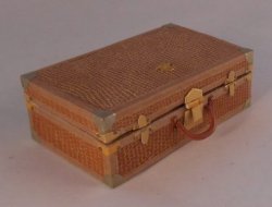 Suitcase #2 Lizard by Jose Gomez