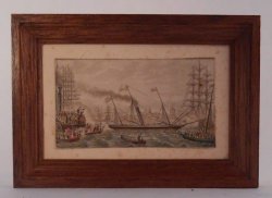 Hand Tinted Engraving #2 Paola Ojeda