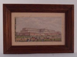 Hand Tinted Engraving #3 Paola Ojeda
