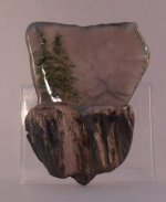 Woodland Collection Plaque #7 by Craig Roberts