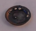 Oyster Collection #10 by Craig Roberts