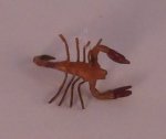 Scorpion by Fanni