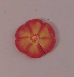 Pansy Plate #4 by Luca Lukell