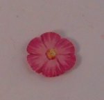 Pansy Plate Small #3 by Luca Lukell