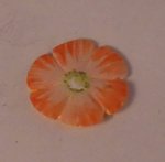 Pansy Plate Small #2 by Luca Lukell