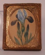 Iris Antique Engraving 1880 Hand Tinted #B
