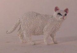 White Walking Cat by David Ward