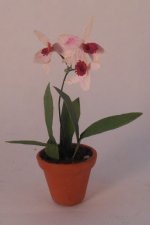 Orchid #1 by Christine Dell'Anna