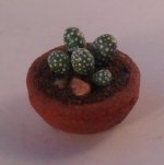 Cacti #1 bt Marie Petrik